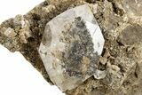 Herkimer Diamonds in Matrix - The Ace of Diamonds Mine, New York #324479-1